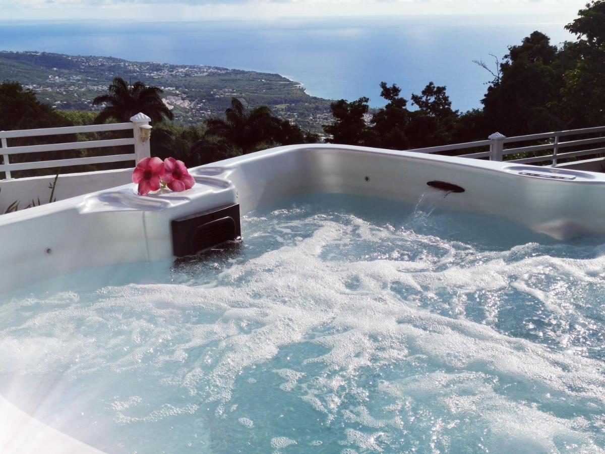 Belavue & Spa Prive, Avec Vue Panoramique Sur Mer, Jardin Creole Paysager, Jacuzzi Prive Bouillante Exterior foto