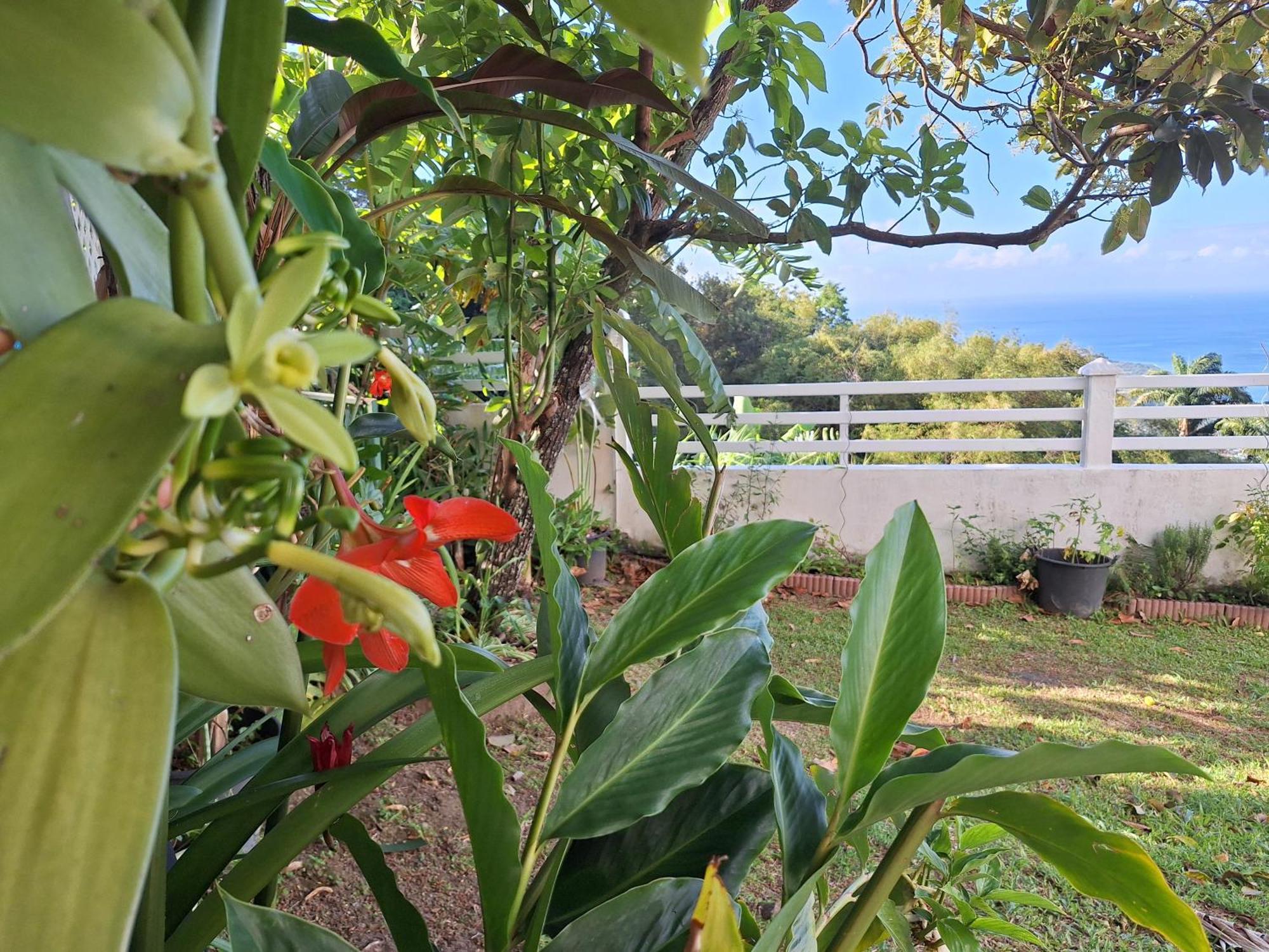 Belavue & Spa Prive, Avec Vue Panoramique Sur Mer, Jardin Creole Paysager, Jacuzzi Prive Bouillante Cameră foto