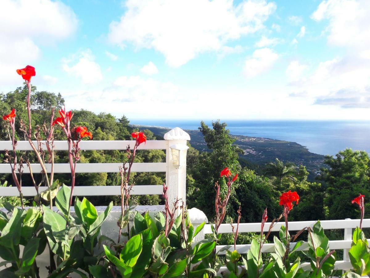 Belavue & Spa Prive, Avec Vue Panoramique Sur Mer, Jardin Creole Paysager, Jacuzzi Prive Bouillante Exterior foto